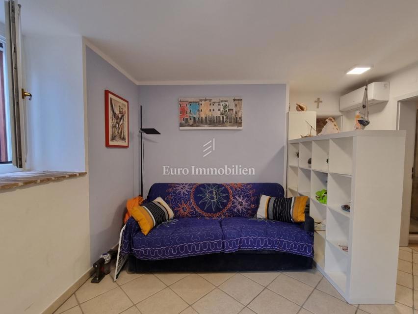 Center Vrsarja - Apartma v pritličju z eno spalnico