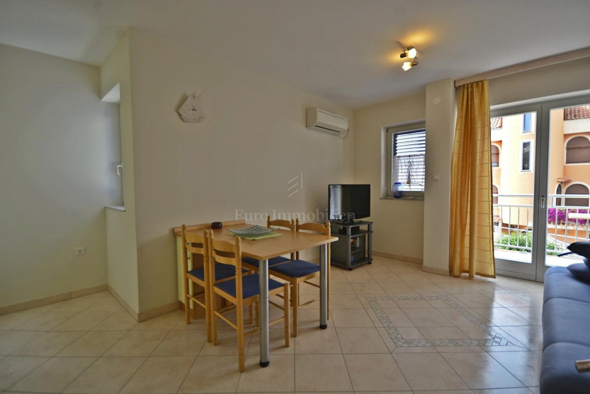 Samostojna hiša s petimi apartmaji in poslovni prostor