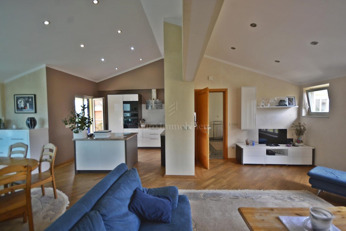 Samostojna hiša s petimi apartmaji in poslovni prostor