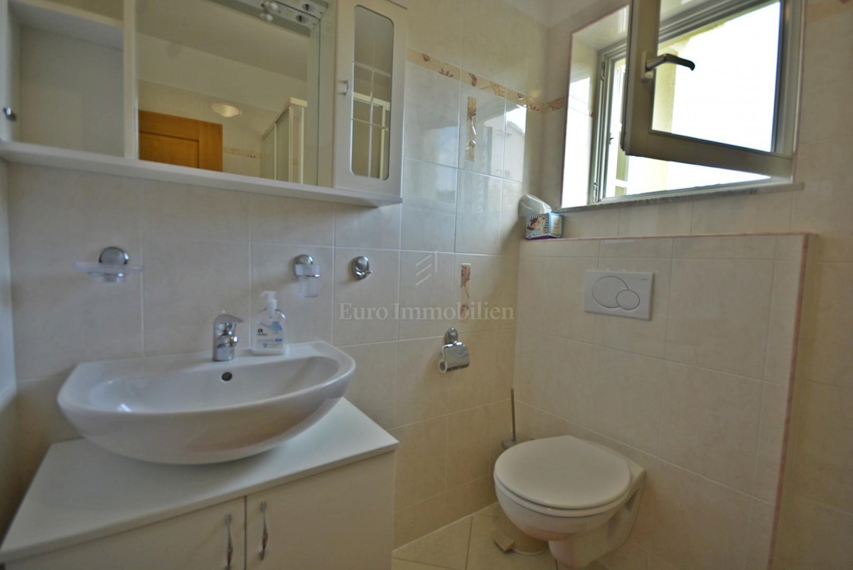 Samostojna hiša s petimi apartmaji in poslovni prostor