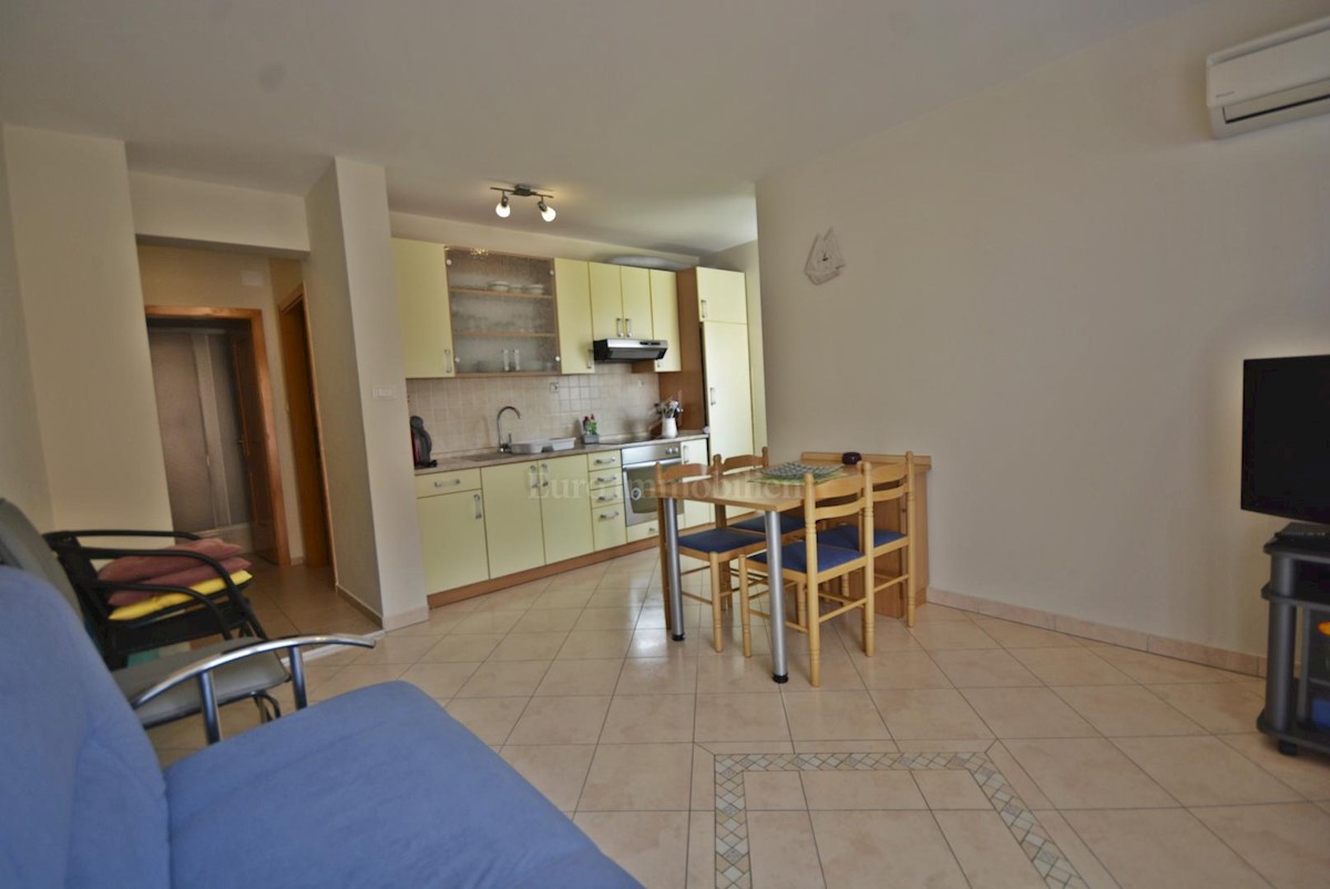 Samostojna hiša s petimi apartmaji in poslovni prostor