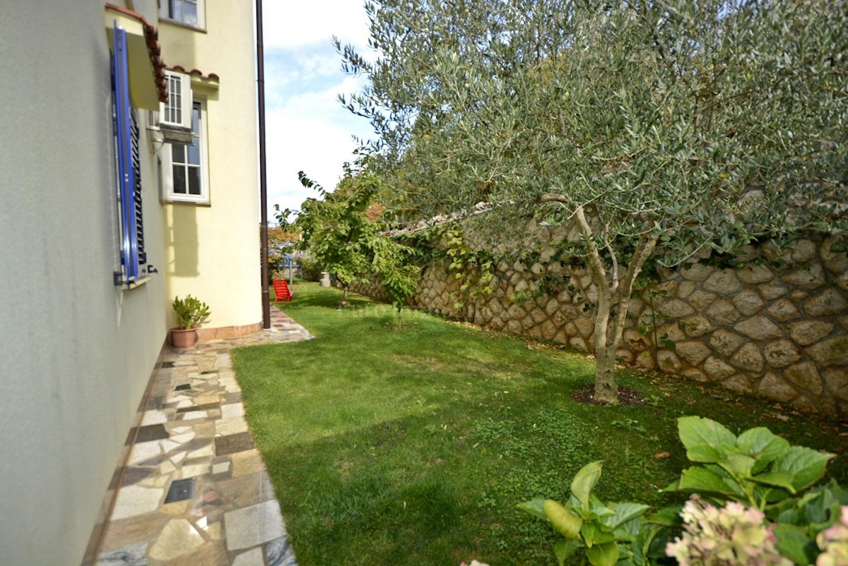 Samostojna hiša s petimi apartmaji in poslovni prostor
