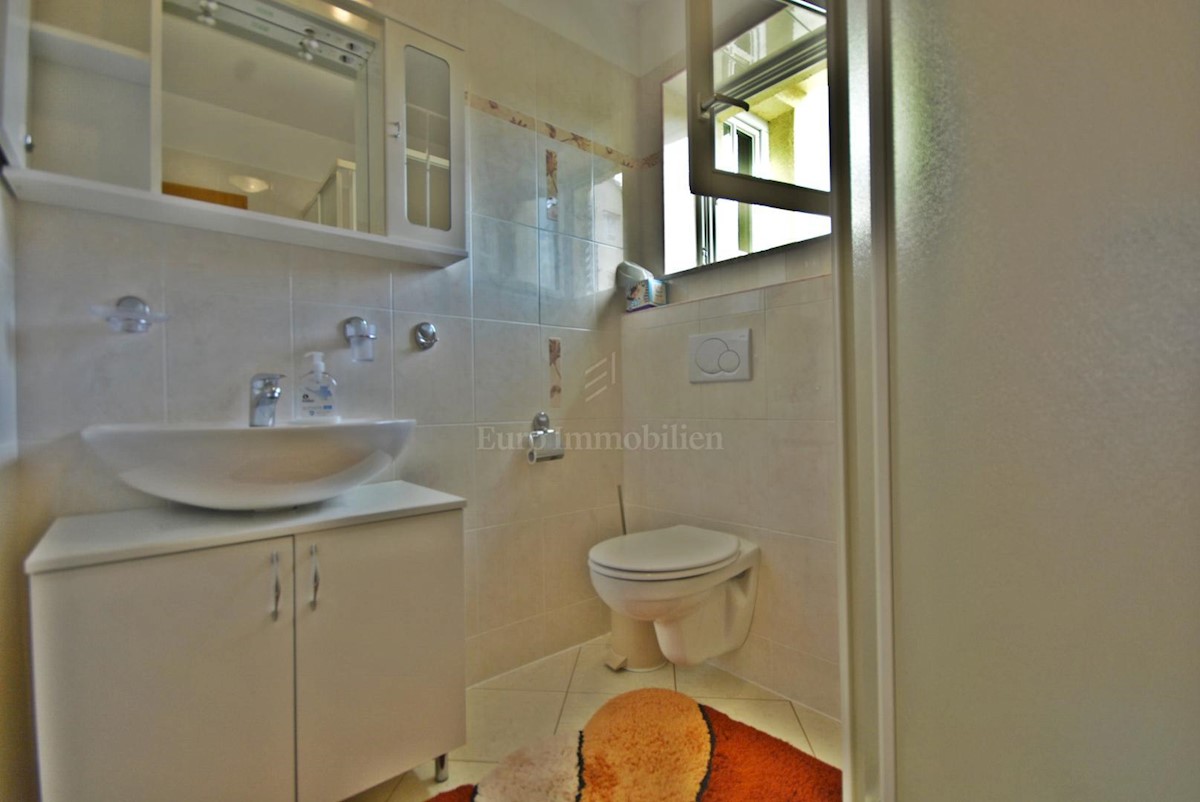 Samostojna hiša s petimi apartmaji in poslovni prostor