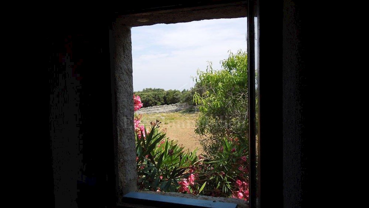 Punta Križa, otok Cres, zemljište