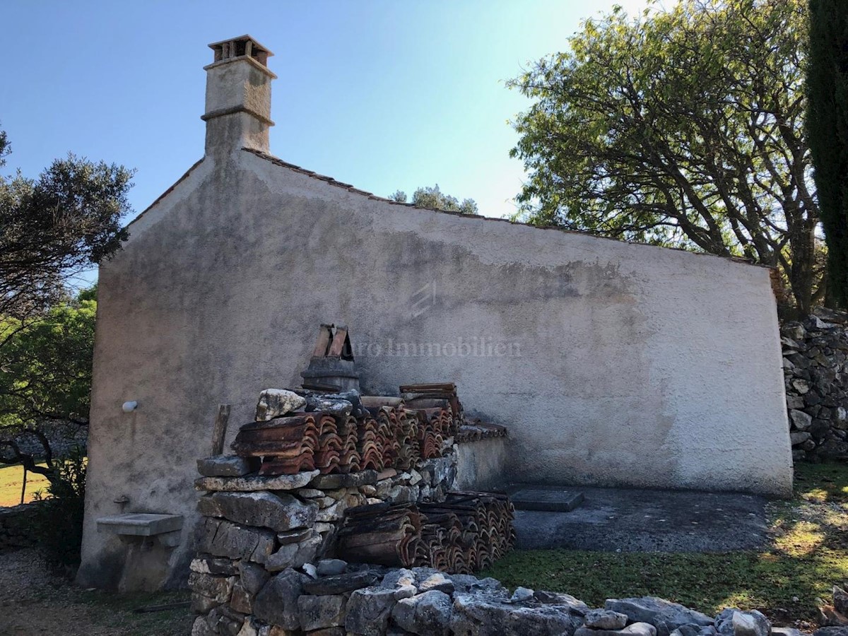 Punta Križa, otok Cres, zemljište