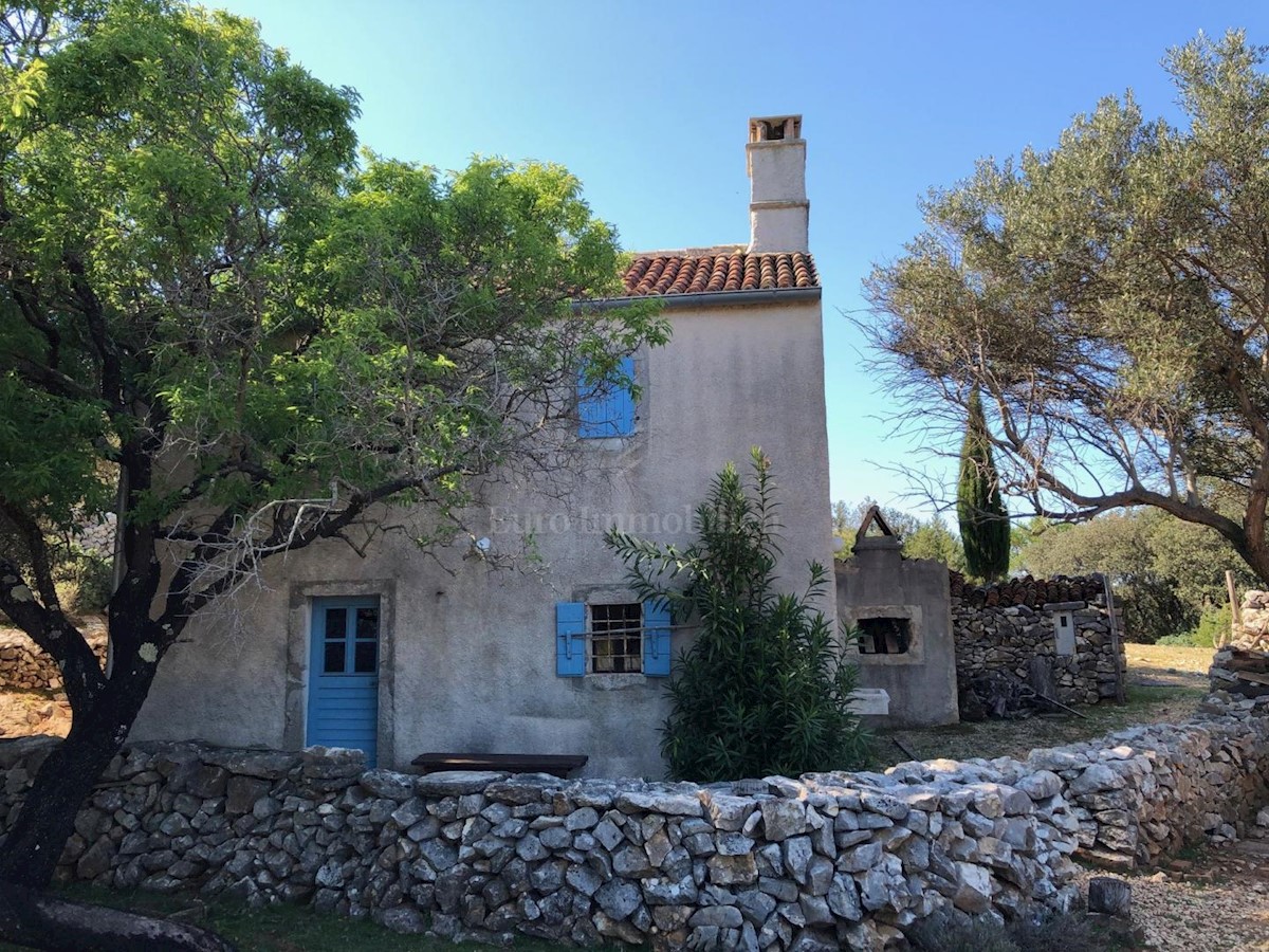 Punta Križa, otok Cres, zemljište
