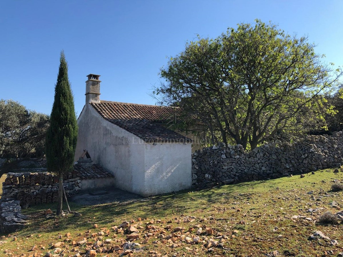 Punta Križa, otok Cres, zemljište