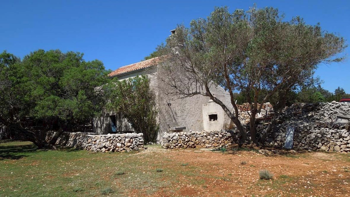 Punta Križa, otok Cres, zemljište