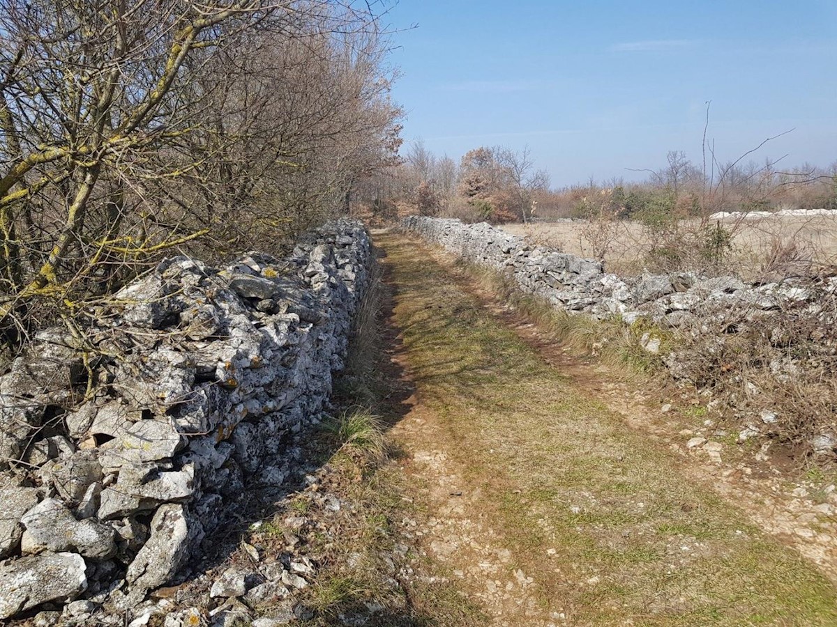 Stavbnih zemljišč za gradnjo več villa