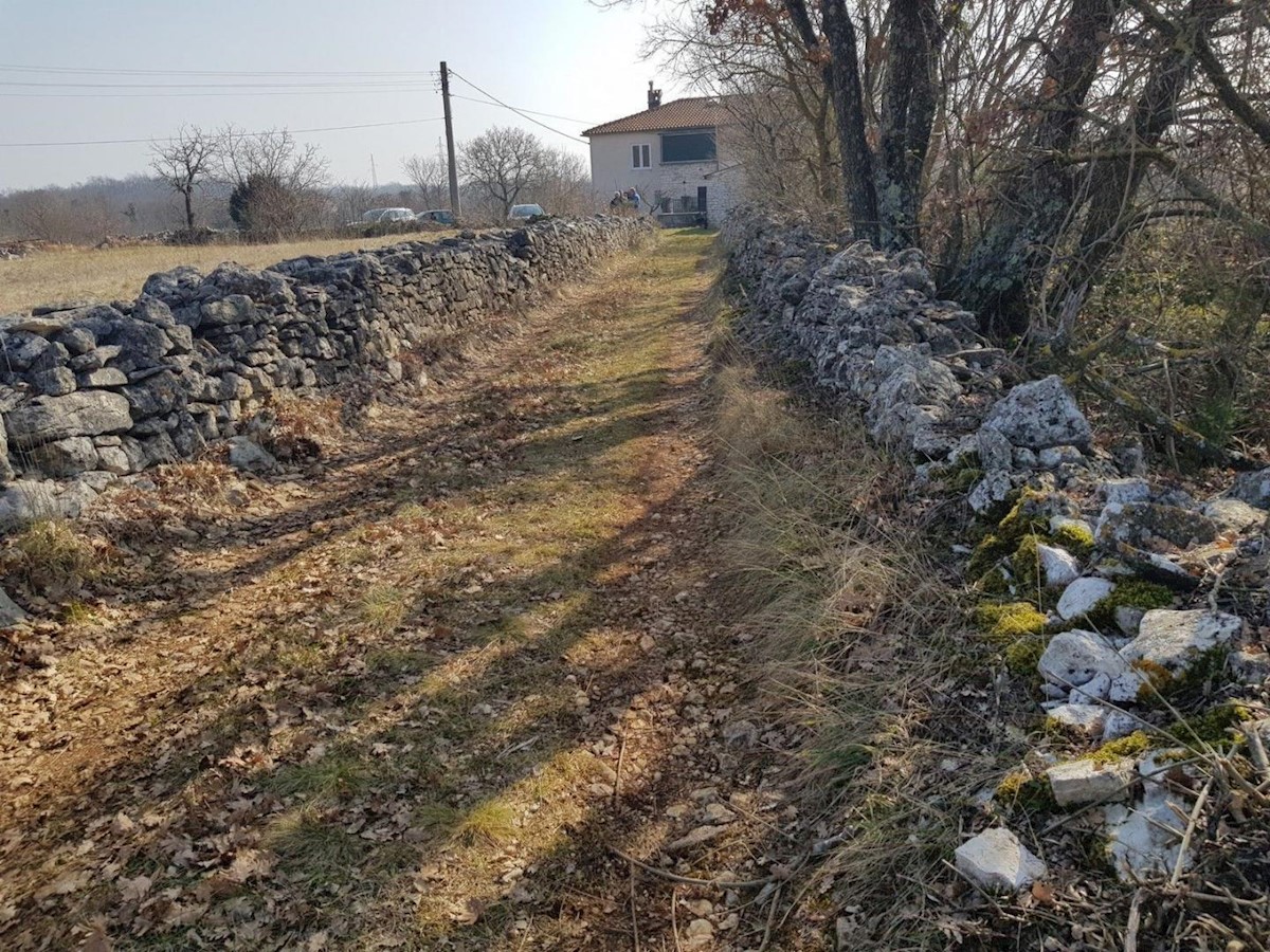 Stavbnih zemljišč za gradnjo več villa