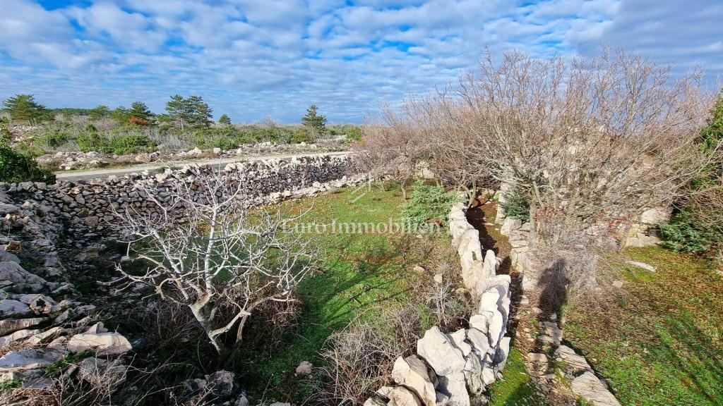 Kamnita hiša v nedotaknjeni naravi, 300 m od morja, otok Krk