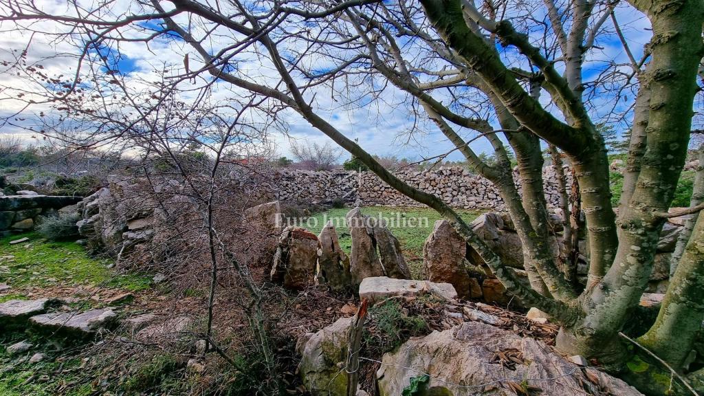 Kamnita hiša v nedotaknjeni naravi, 300 m od morja, otok Krk