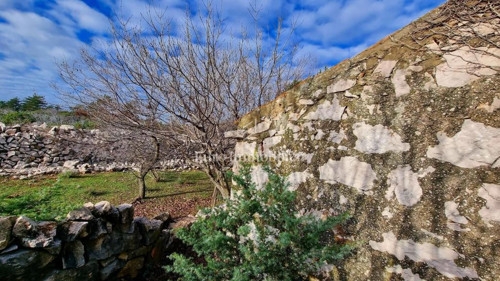 Kamnita hiša v nedotaknjeni naravi, 300 m od morja, otok Krk