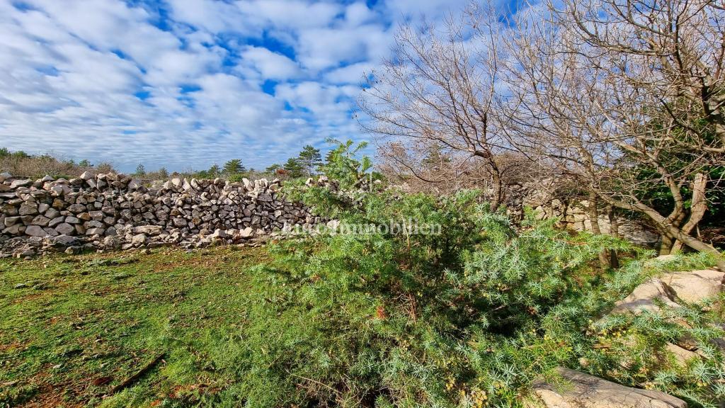 Kamnita hiša v nedotaknjeni naravi, 300 m od morja, otok Krk