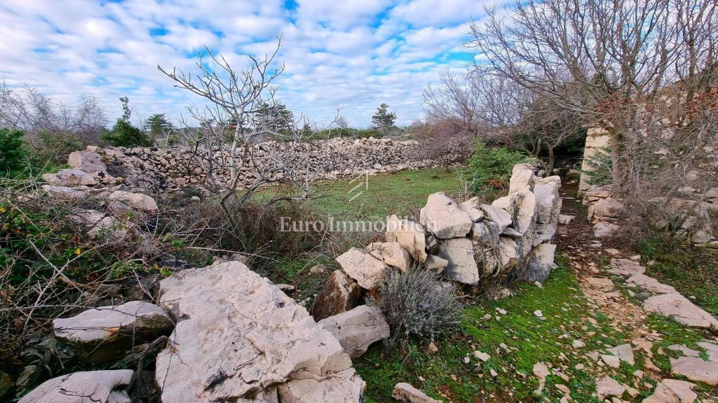 Kamnita hiša v nedotaknjeni naravi, 300 m od morja, otok Krk