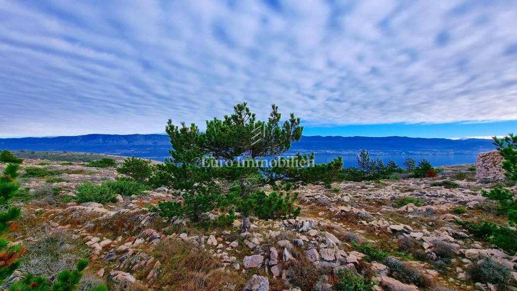 Kamnita hiša v nedotaknjeni naravi, 300 m od morja, otok Krk