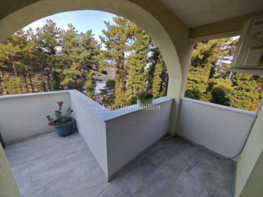 Apartma 100m od morja