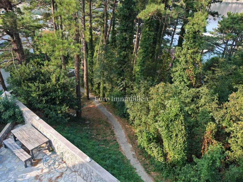 Apartma 100m od morja
