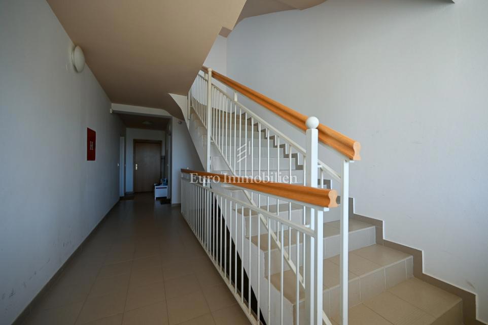 Istra, Tar, Stanovanje z vrtom in pogledom na morje