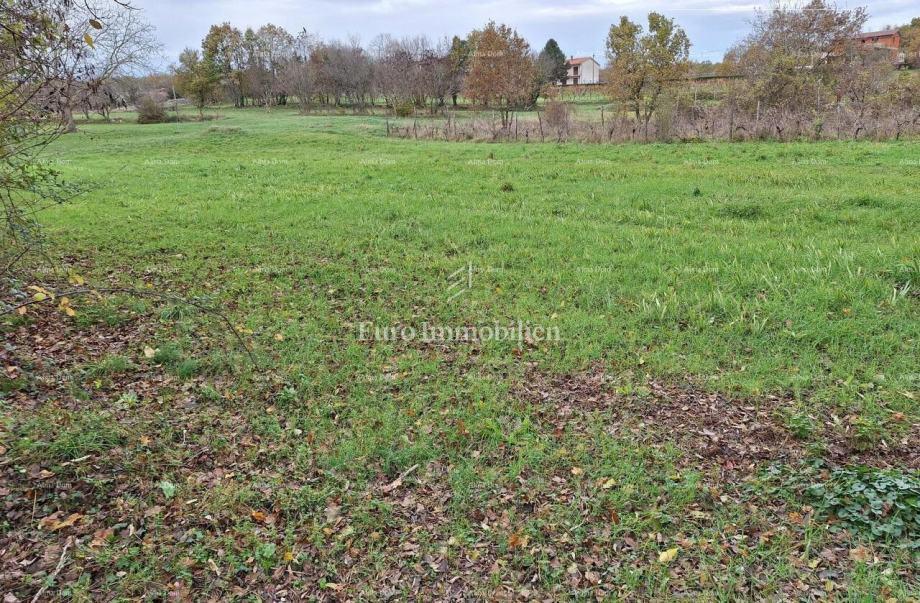 Istra, Raša - gradbeno zemljišče 1.560 m²