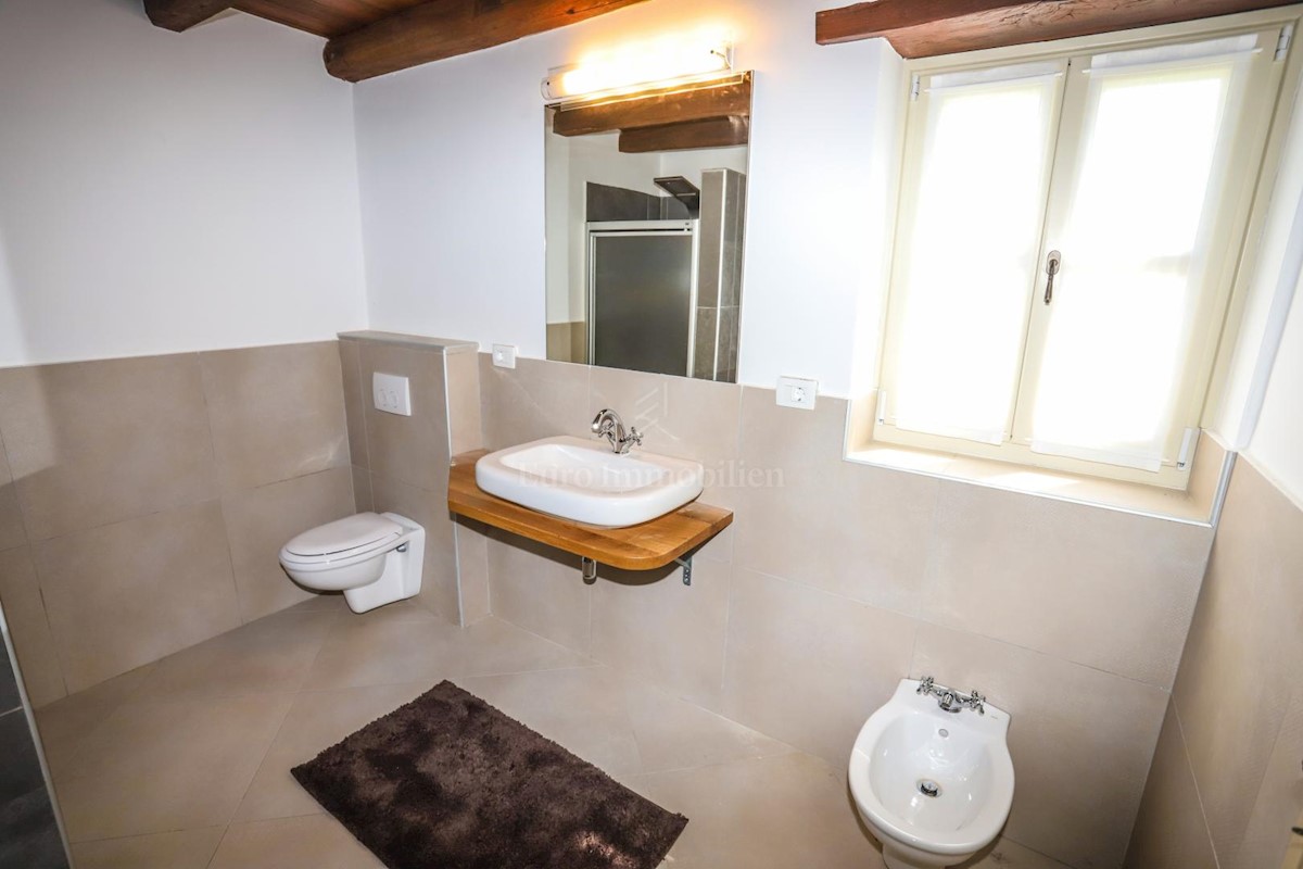 OKOLICA TINJANA!!! Velika samostojeća villa sa 4 spavaće sobe, idealna za iznajmljivanje