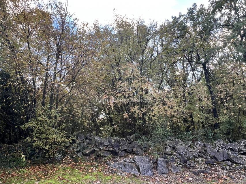 KASTAV, zazidljivo zemljišče 3671 m²