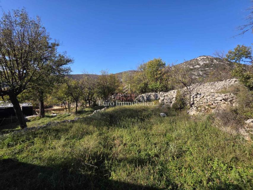 Zaledje Novega Vinodolskega, Dve hiši z veliko parcelo