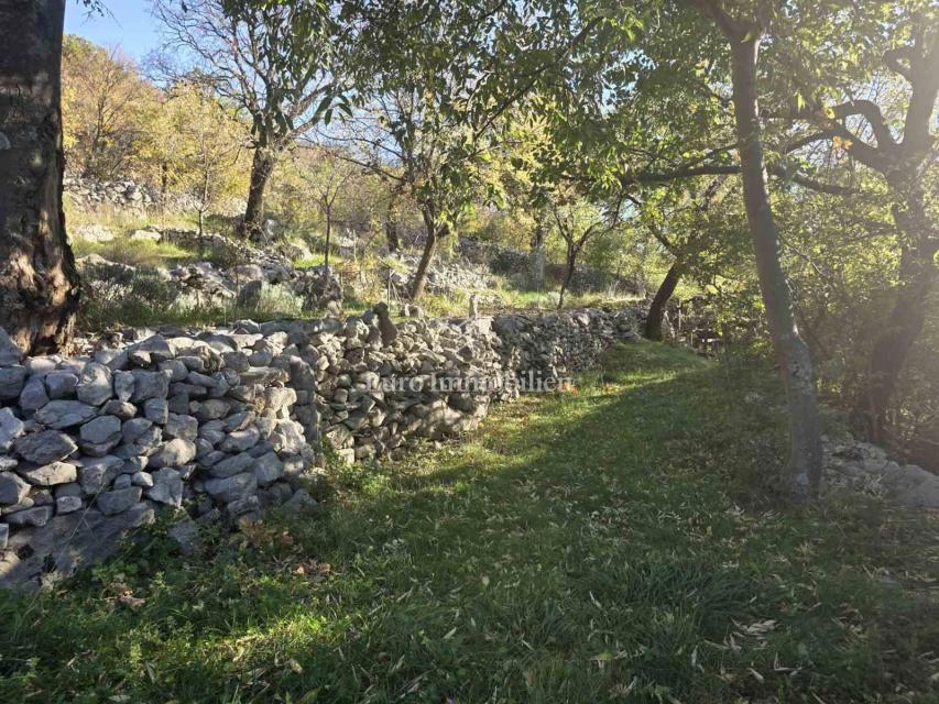 Zaledje Novega Vinodolskega, Dve hiši z veliko parcelo