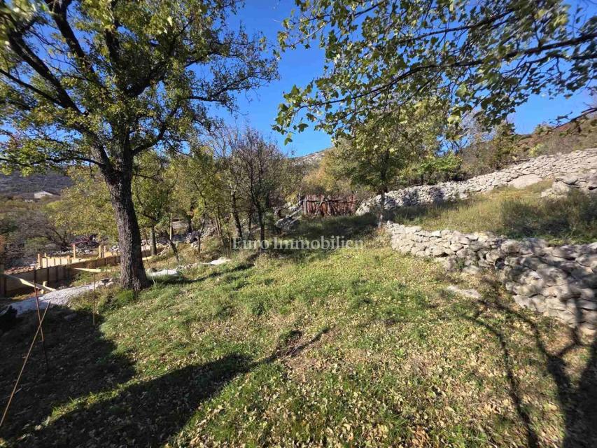 Zaledje Novega Vinodolskega, Dve hiši z veliko parcelo