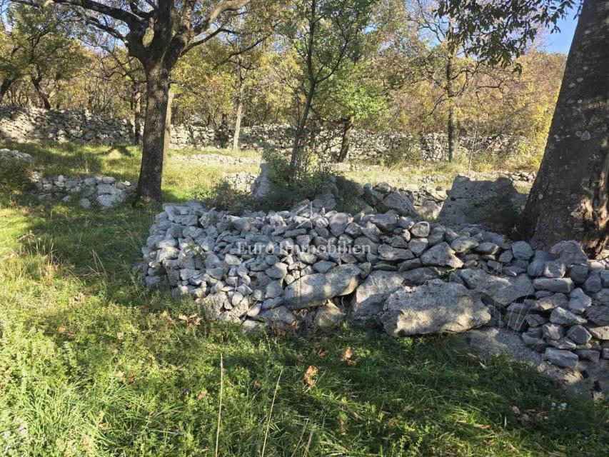 Zaledje Novega Vinodolskega, Dve hiši z veliko parcelo