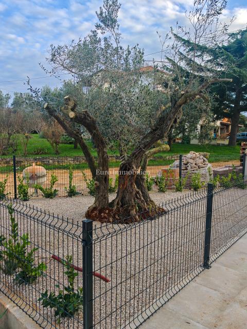 Hiša z bazenom na mirni lokaciji, v bližini Novigrada