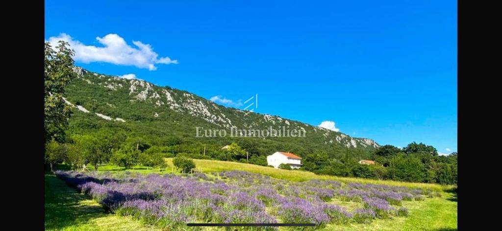 Stavbno zemljišče z dovoljenjem in temelji – Bribir, pogled na morje