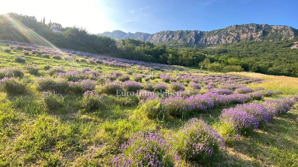Stavbno zemljišče z dovoljenjem in temelji – Bribir, pogled na morje