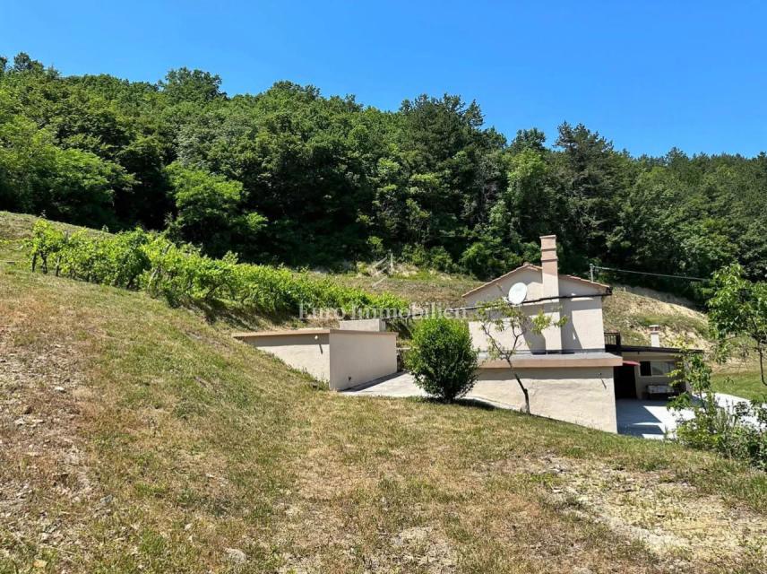 Hiša s prostornim dvoriščem, Cerovlje, Istra