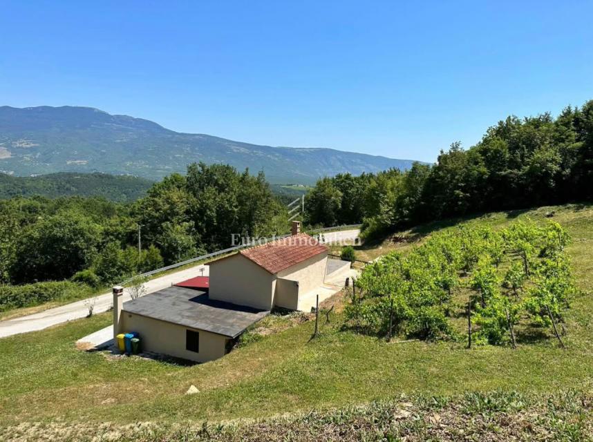 Hiša s prostornim dvoriščem, Cerovlje, Istra