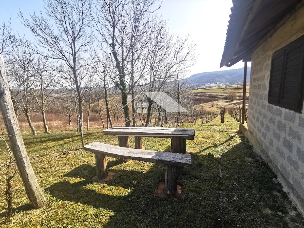 Vinograd s sadovnjakom in vikend hišo – popoln pobeg v naravo!
