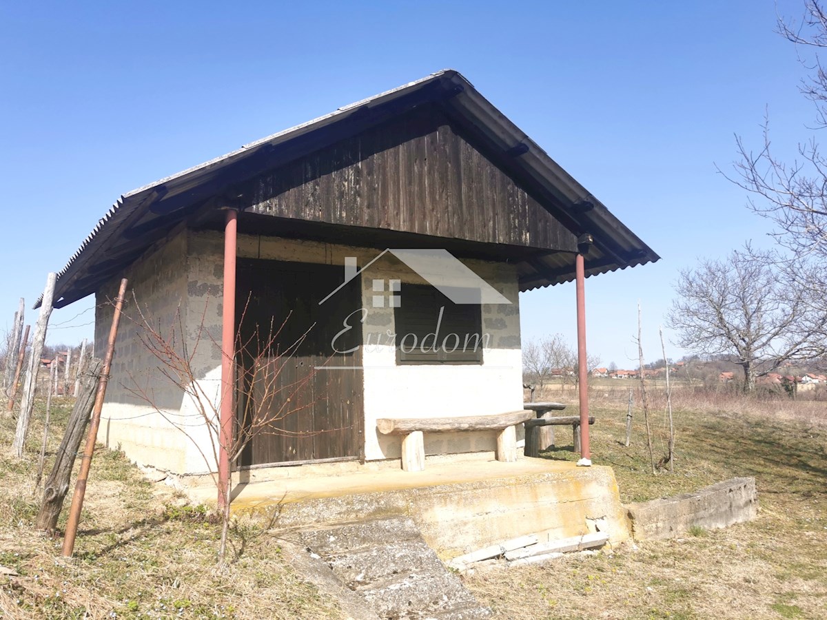 Vinograd s sadovnjakom in vikend hišo – popoln pobeg v naravo!