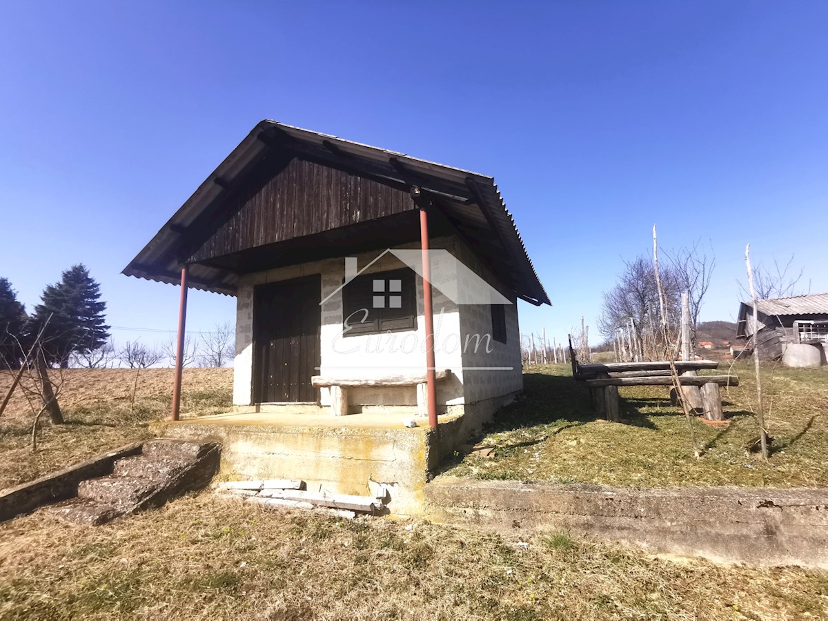Vinograd s sadovnjakom in vikend hišo – popoln pobeg v naravo!