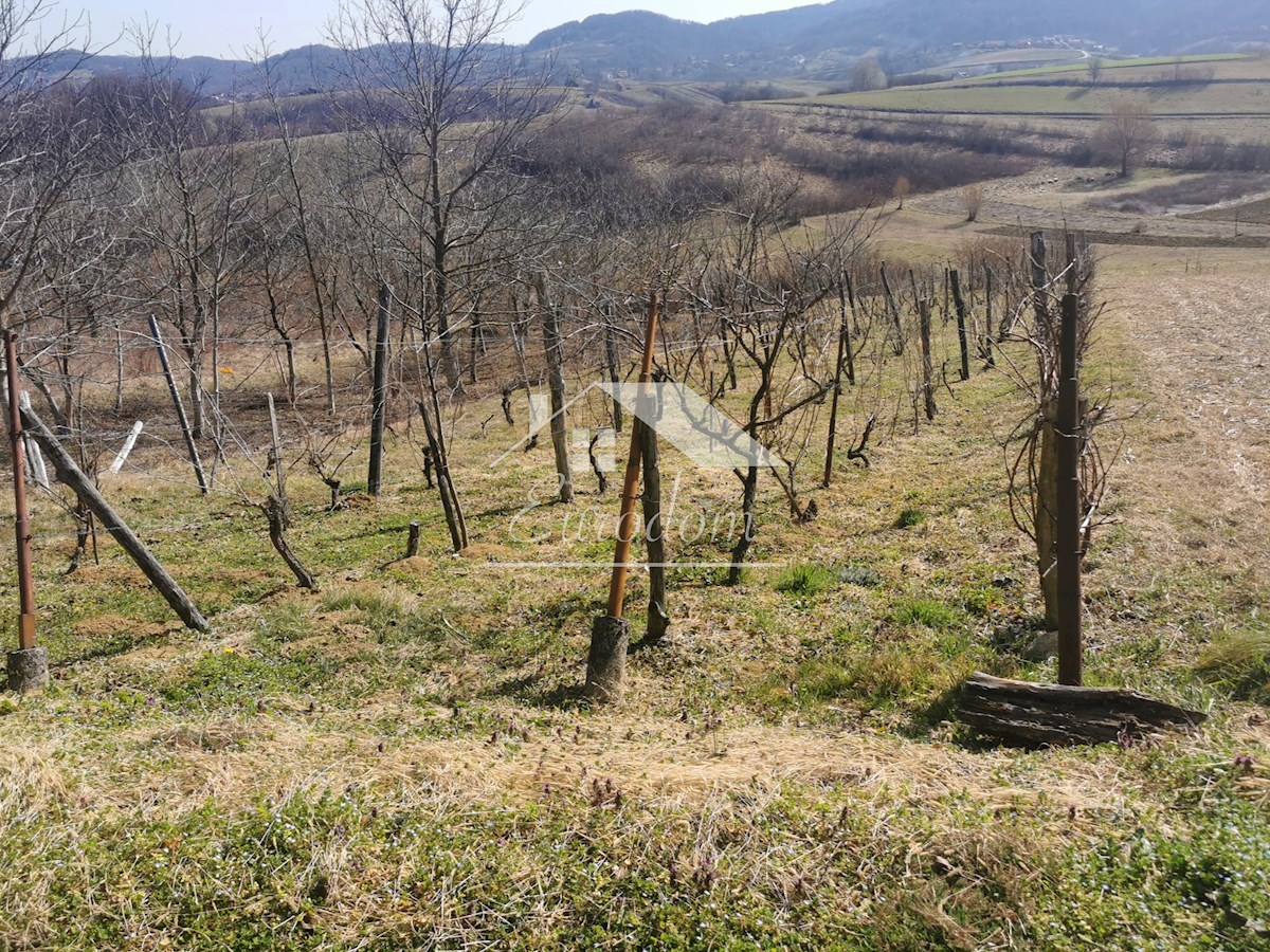 Vinograd s sadovnjakom in vikend hišo – popoln pobeg v naravo!