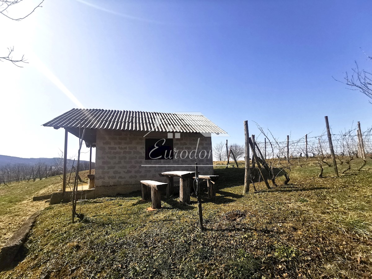 Vinograd s sadovnjakom in vikend hišo – popoln pobeg v naravo!