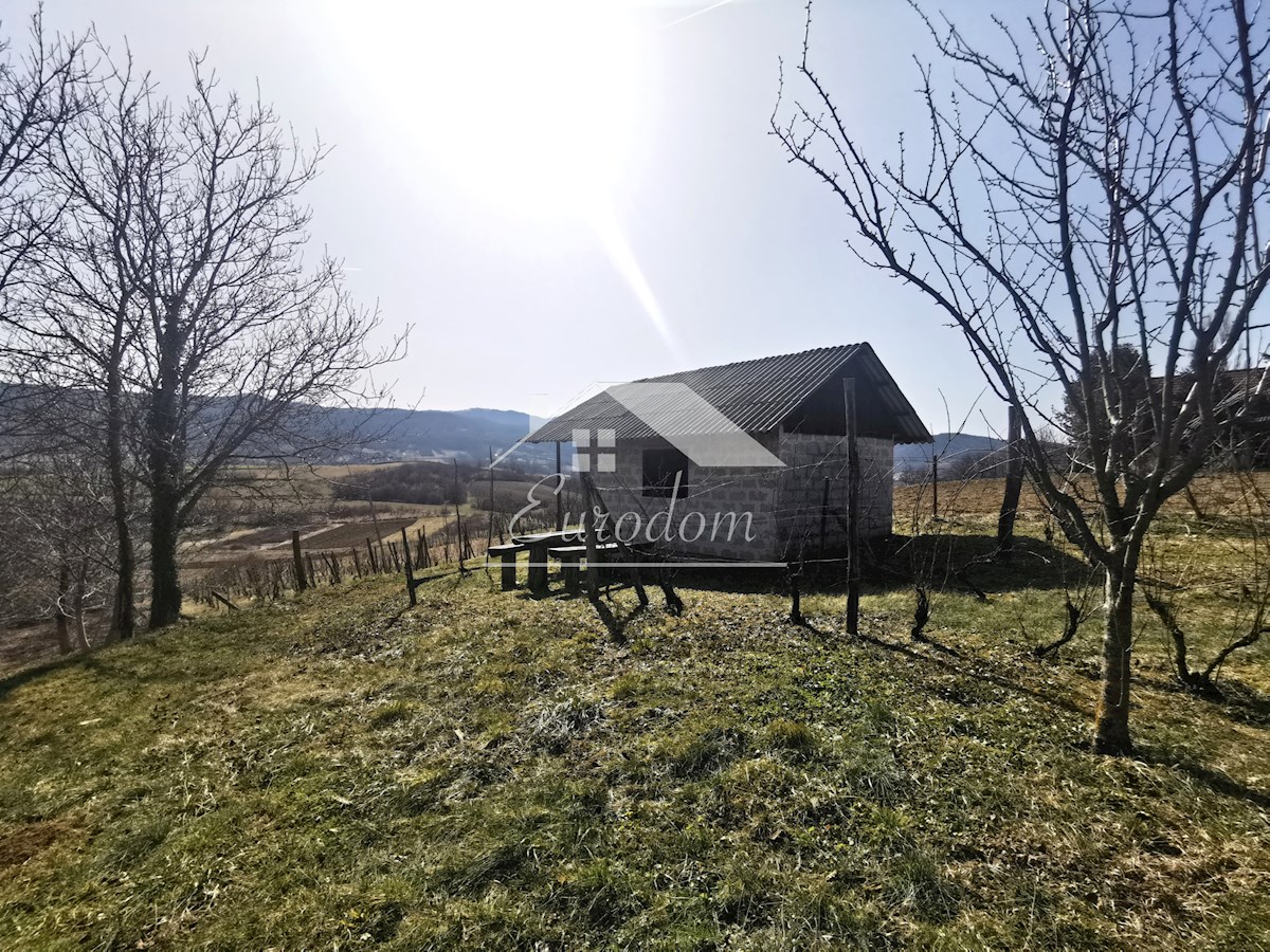 Vinograd s sadovnjakom in vikend hišo – popoln pobeg v naravo!