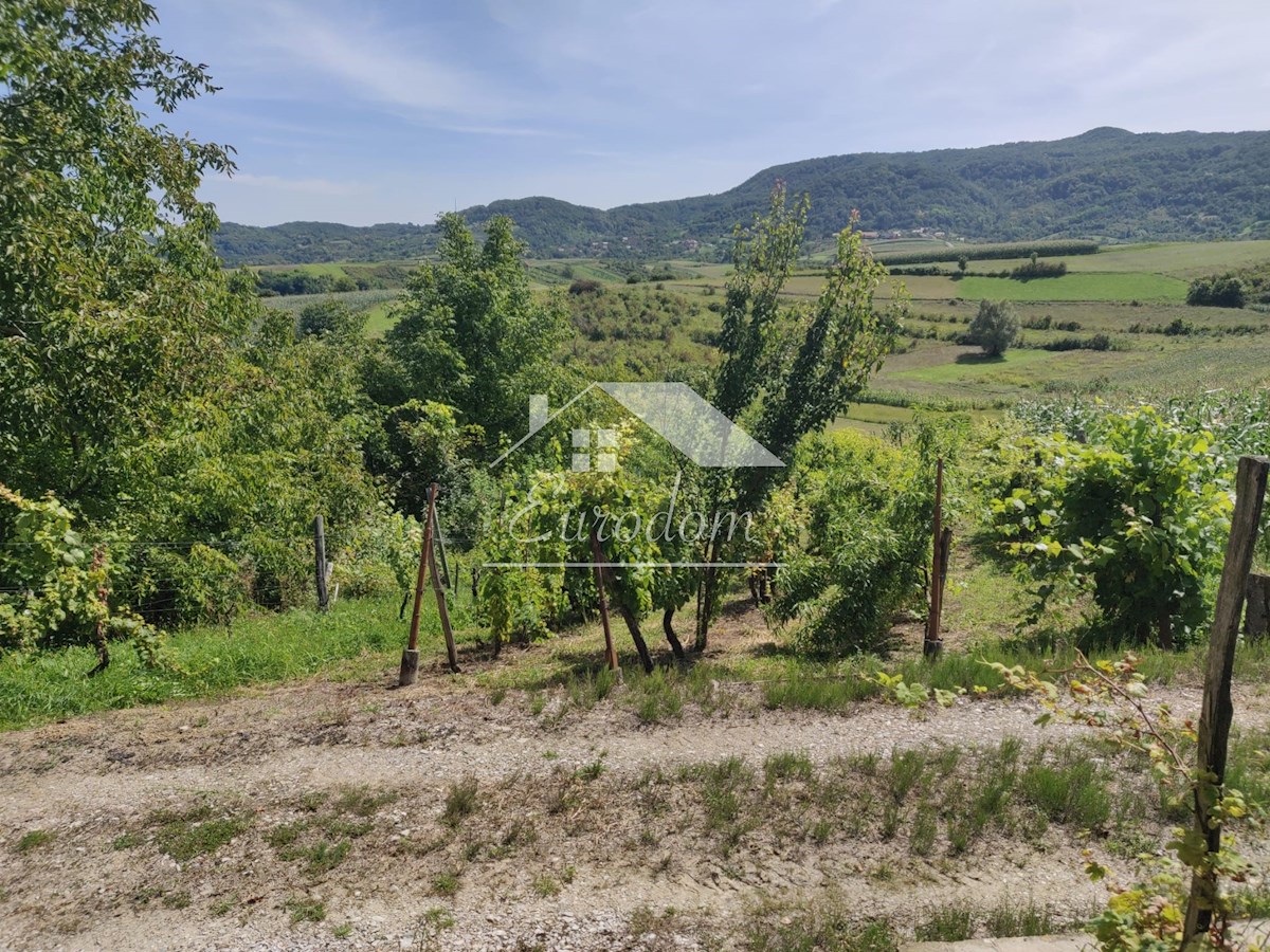 Vinograd s sadovnjakom in vikend hišo – popoln pobeg v naravo!