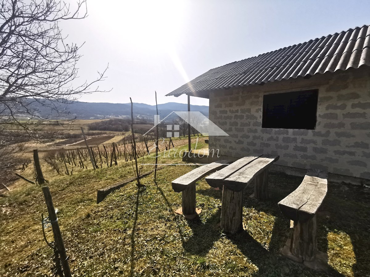 Vinograd s sadovnjakom in vikend hišo – popoln pobeg v naravo!