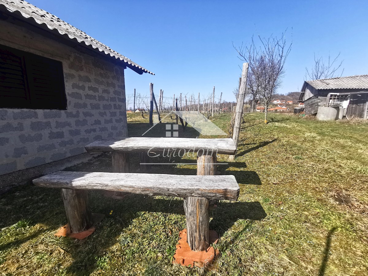 Vinograd s sadovnjakom in vikend hišo – popoln pobeg v naravo!