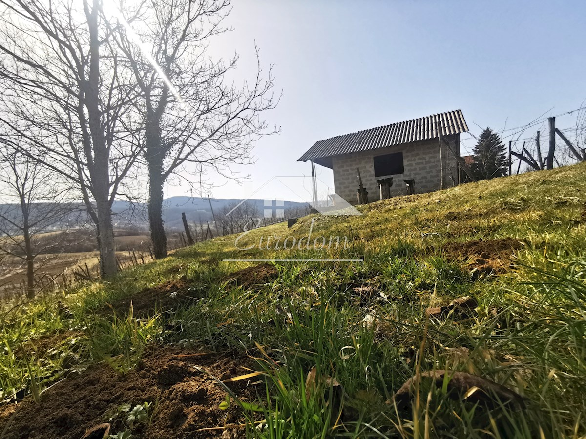 Vinograd s sadovnjakom in vikend hišo – popoln pobeg v naravo!