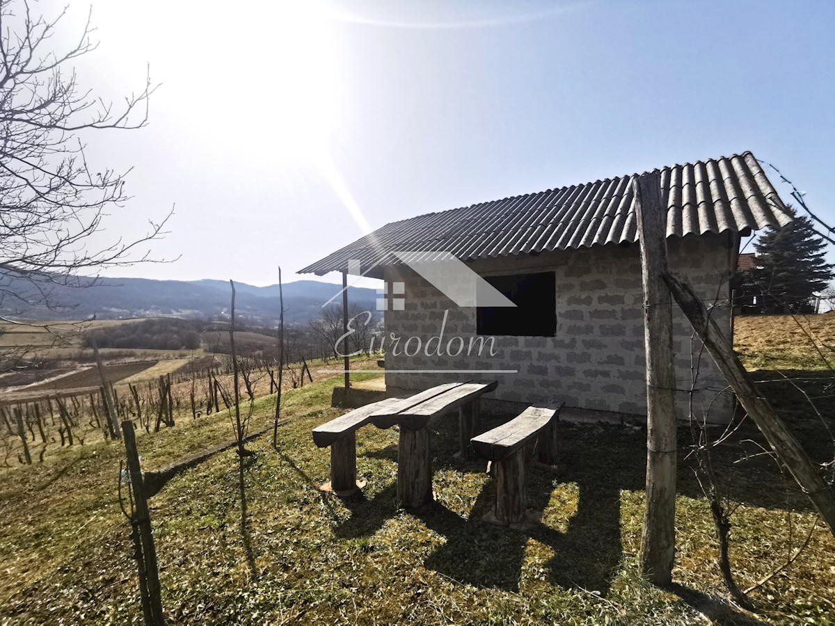 Vinograd s sadovnjakom in vikend hišo – popoln pobeg v naravo!