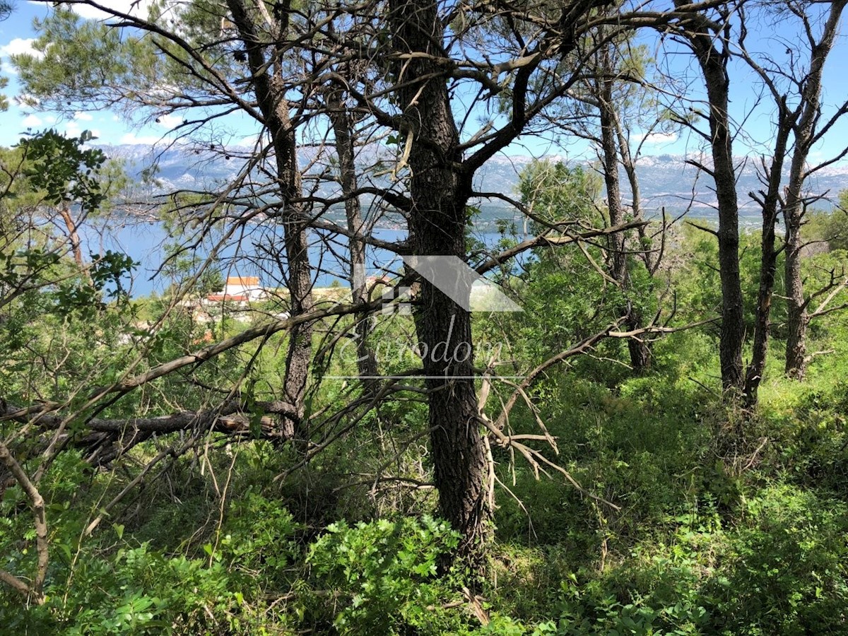 NOVIGRAD (ZADAR) – GRAJENO ZEMLJIŠČE S PROJEKTOM ZA 3 VILE S BAZENI, 100 M OD MORJA