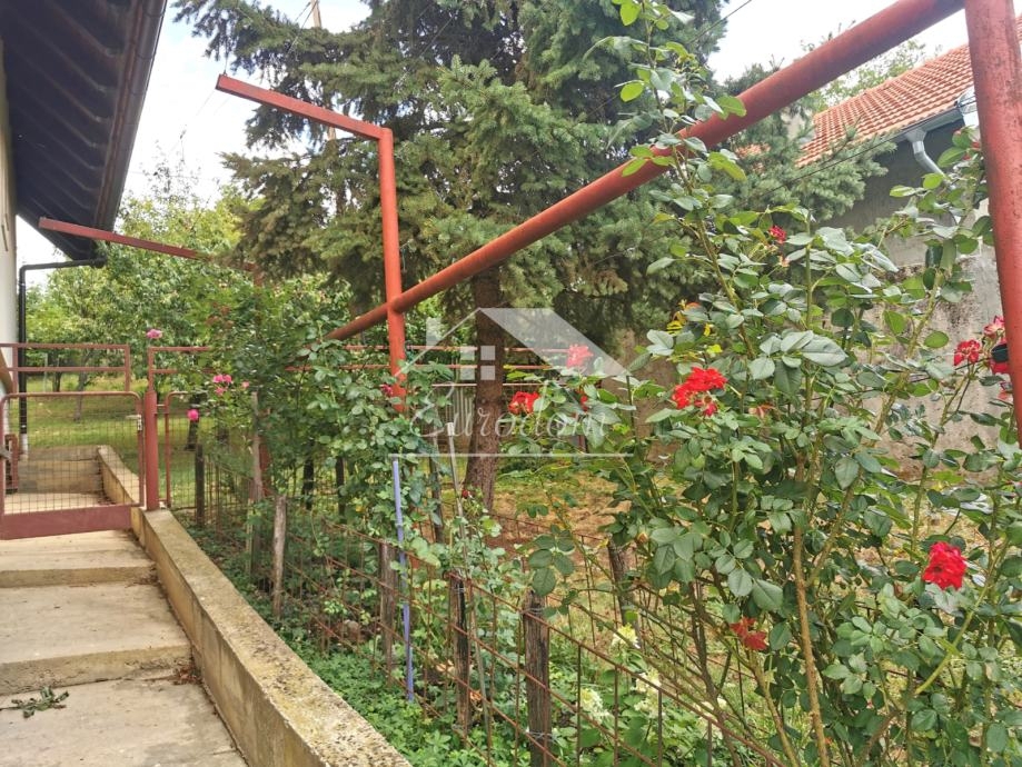 Hiša Susedgrad, 340m2