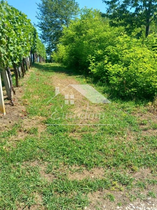 Hiša Klanjec, 46,58m2