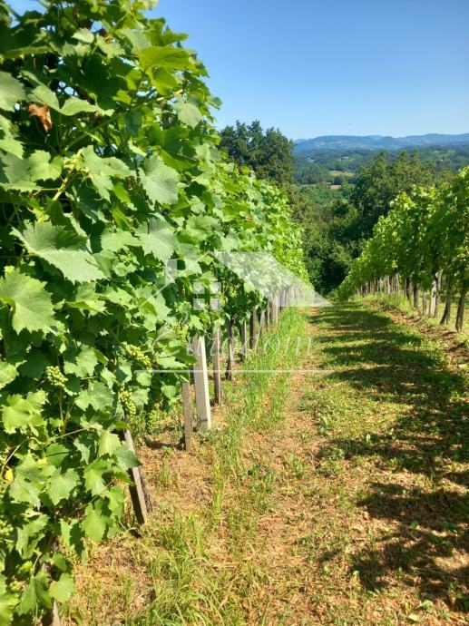 Hiša Klanjec, 46,58m2